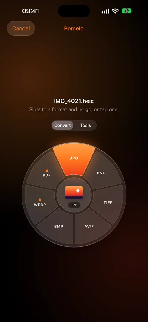 Pomelo’s wheel of formats around a HEIC photo