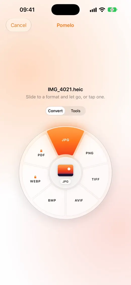 Pomelo’s wheel of formats around a HEIC photo
