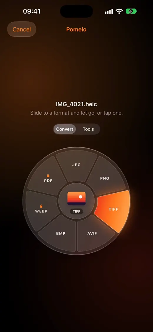 Pomelo’s wheel of formats around a HEIC photo