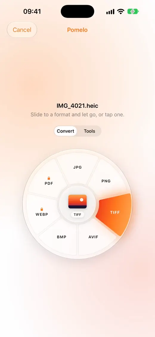 Pomelo’s wheel of formats around a HEIC photo