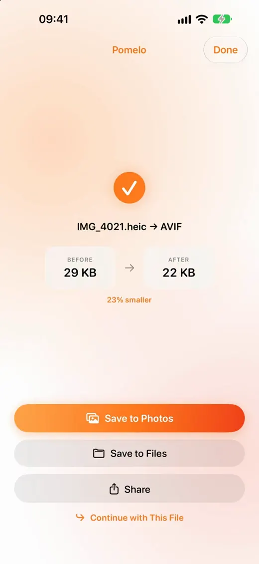 A HEIC photo converted to AVIF in Pomelo, 23% smaller